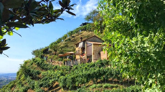 Osteria senz_Oste