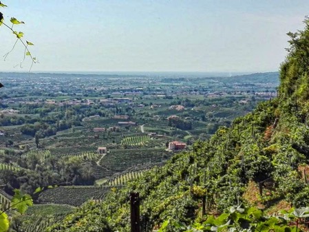 Panorama Colle Cartizze