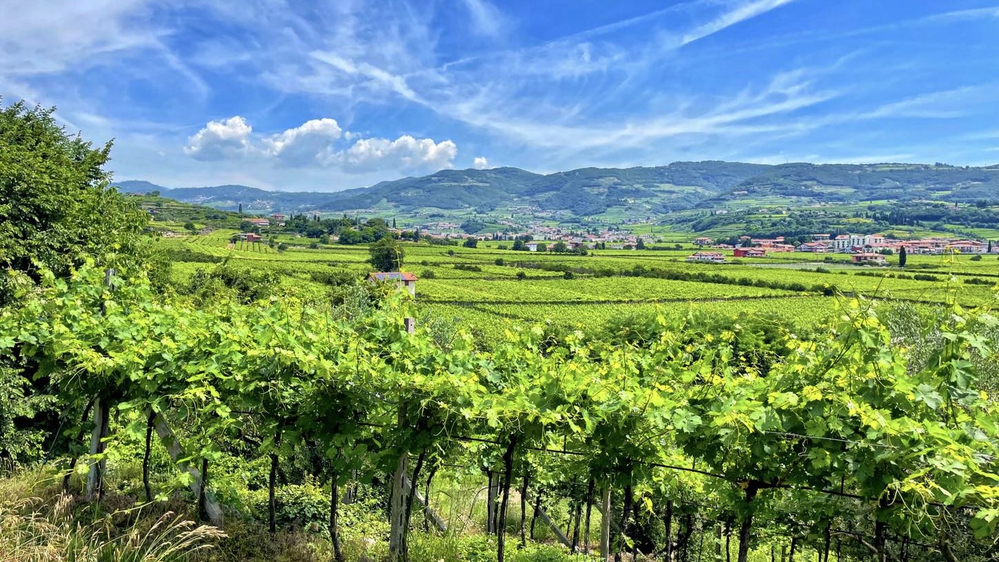 Panorama sulla Valpolicella
