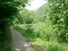 Ciclabile Mantova