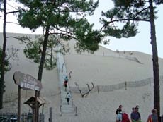 Dune_Pilat