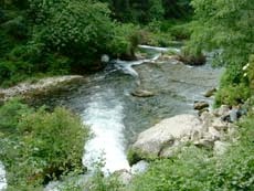 fontaine__de_vaucluse