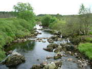 Galloway_Forest