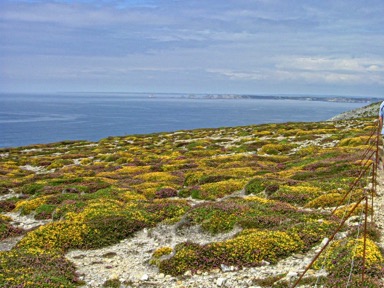 Morgat, Cap de Chevre