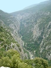 verdon